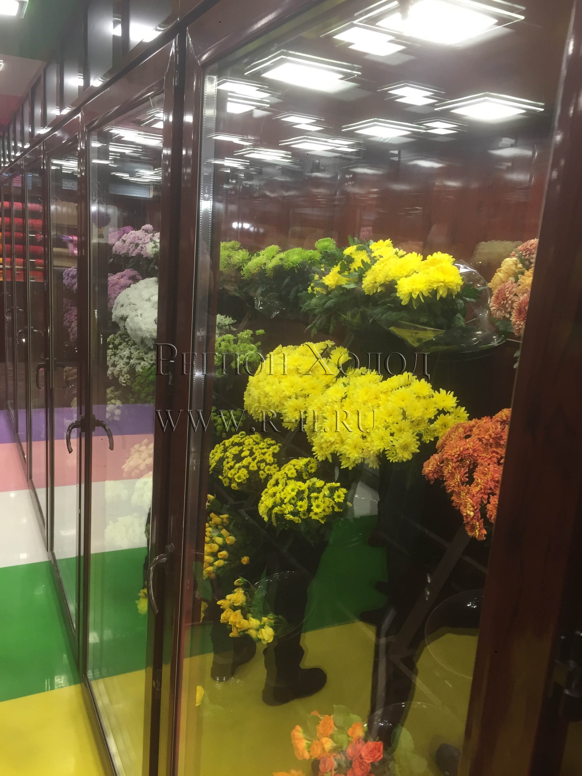 холодильные камеры для цветов