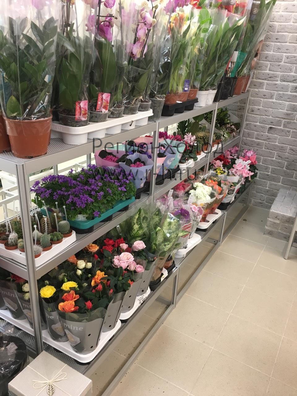 Стеллажи для магазина цветов