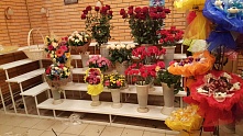 Угловой стеллаж для цветов 5 полок купить в Москве по выгодным ценам в интернет-магазине «Регион Холод»
